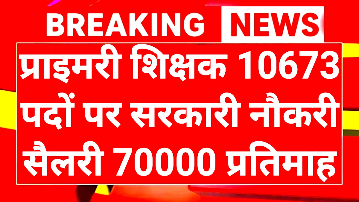 Primary Teacher Recruitment