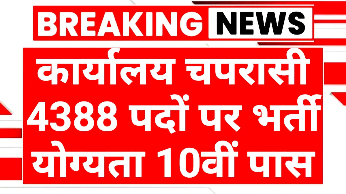 Office Peon Recruitment 2025